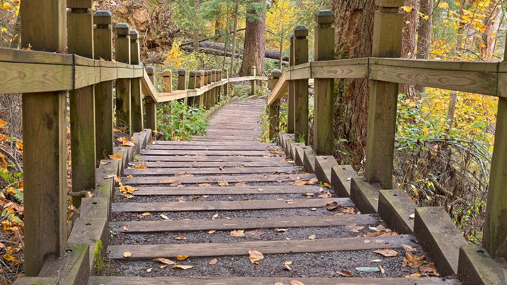 A wooden boardwalk path with railings through an autumn forest
